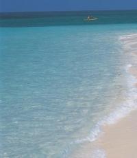 Лучшие пляжи оаэ Где лучше отдыхать на пляже в оаэ