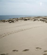 Lida Lithuania.  Nida, Curonian Spit.  Photo of the Curonian Spit.  Travel along the Curonian Spit.  Where to stay in Nida