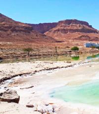 არდადეგები ისრაელში ზღვაზე, ფასები და საუკეთესო სანაპირო კურორტები